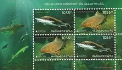 Kup teraz Hongarije - EUROPA 2024 Underwater Fauna & Flora - Postfris souvenirvelletje
