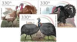 Hongarije - Indigenious Hungarian poultry breeds - Postfrisse serie van 3 Ekspresowa dostawa