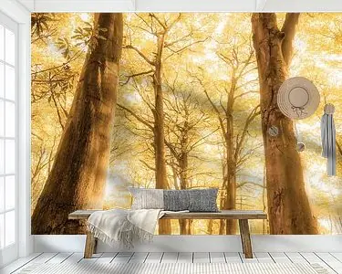 Zamów teraz Path of a Dreamer