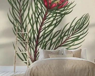 Niska cena De opslagplaats van de botanicus, voor nieuwe en zeldzame planten.