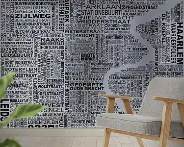 Wyprzedaż Kaart van Haarlem