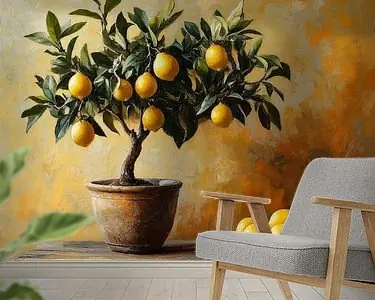 Citroenen in Overvloed Rabat