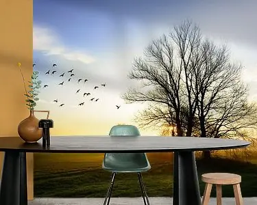 De schoonheid van het Brabantse land Wyprzedaż