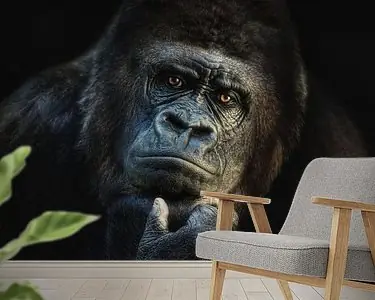 Ik denk over je na Kup teraz