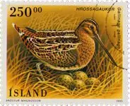 IJsland - AFA 818 - Gebruikt Promocja