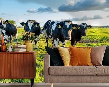 Koeien in typisch Nederlands landschap Wysoka jakość