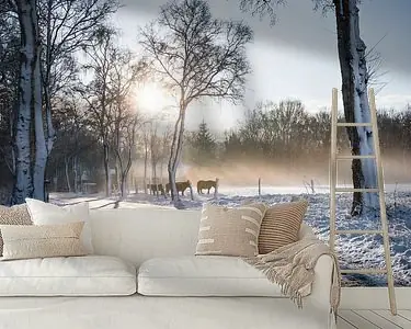 Winterse Zonsopkomst Dwingelderveld Tylko dziś