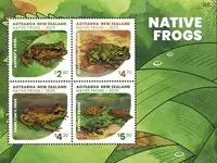 Inheemse kikkers - S/S Bezpieczna płatność