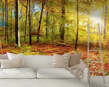 Ekspresowa dostawa Herfstbos met felle ochtendzon