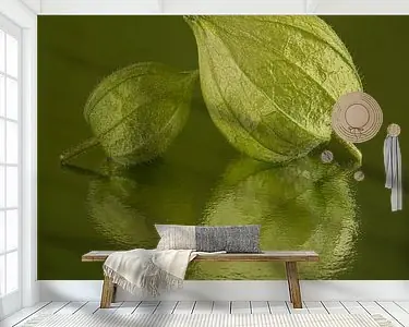 Autentyczny Groen: Twee groene lampionnetjes in een groen vierkant