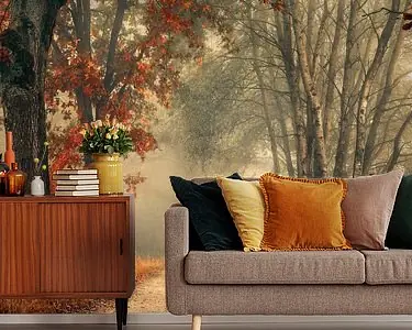 Wysoka jakość Herfst bos in de mist