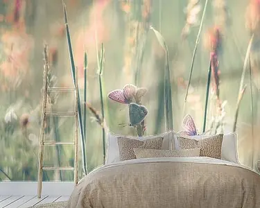 Dreamfields (I) Wyprzedaż