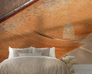 Eenvoud in lijnen: Close-up van veren, verticaal Promocja