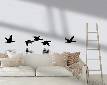 Eider ducks - Iceland Oferta limitowana