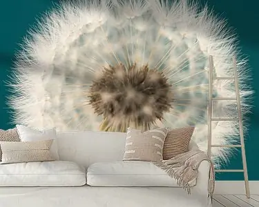 Oferta limitowana Een petrol vierkantje met paardenbloem in het licht