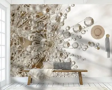 Landelijke natuurlijke sfeer: Kleine waterdruppeltjes hangen aan een pluisje van een paardenbloem Premium