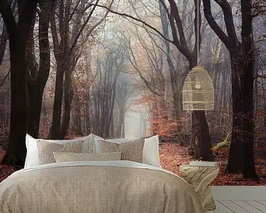 Ekspresowa dostawa De Wicca bossen