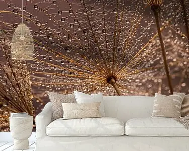 Waterdruppeltjes hangen aan een Morgenster Ekspresowa dostawa