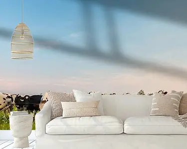 Staan we zo goed? Ostatnia szansa