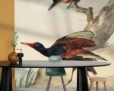 Autentyczny Een Westindisch doornhoen en een gekuifde ijsvogel, Aert Schouwman