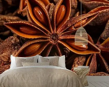 Imperfectie is perfect: Een steranijs tussen anderen Wysoka jakość