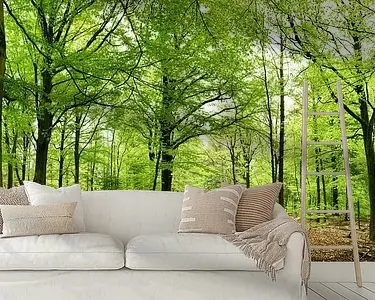 Oryginalny Bos panorama