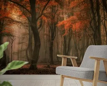 Betovering Wyprzedaż