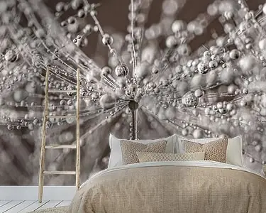 Panorama van druppeltjes op een paardenbloem Oryginalny