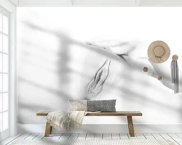 Artistiek Naakt van een Vagina in High Key Zwart Wit Ekspresowa dostawa