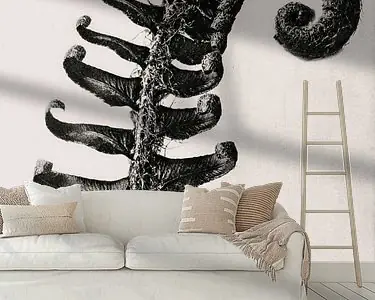 Popularny Karl Blossfeldt - Polystichum Munitum(gezien bij vtwonen)