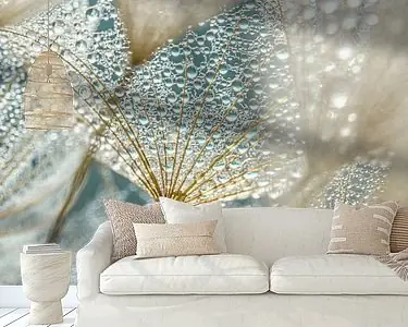 Oferta Van binnenuit een Tragopogon