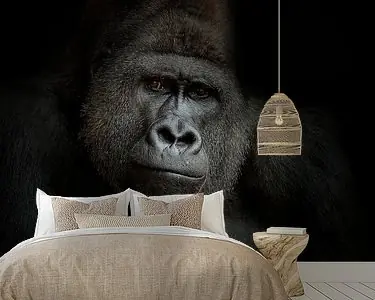 ego cogito, ergo sum Wysoka jakość