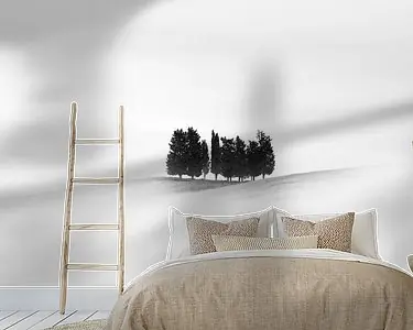 Tani Elf bomen (2021)