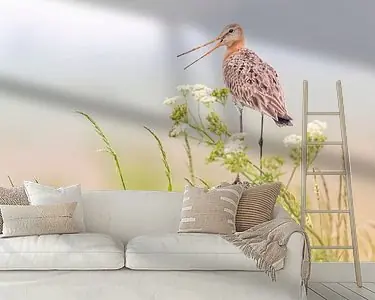 Grutto waarschuwt de familie Promocja