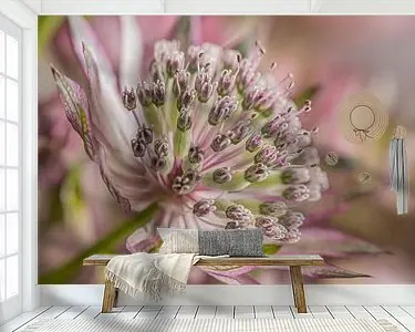 Het zachte dromerige bloemetje Ostatnia szansa