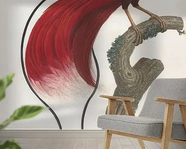 Kup teraz Rode Paradijsvogel (Paradisaea rubra), François Le Vaillant