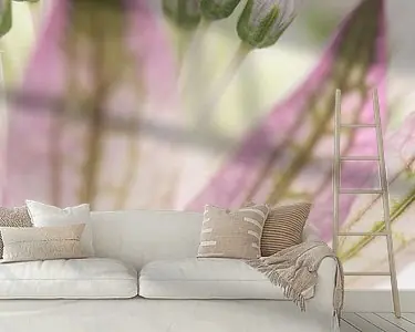 Najlepsza cena Dromerig pastel: Astrantia Major