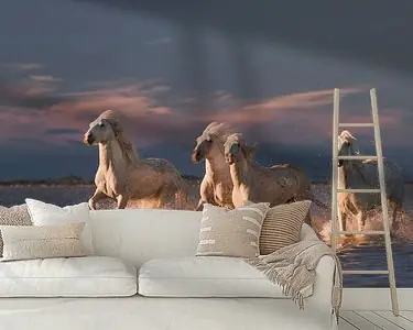 Zamów teraz Engelen van de Camargue