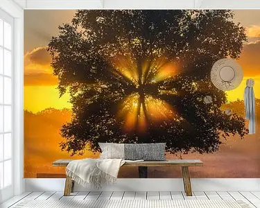 Zonsopkomst in de Gasterse Duinen, Drenthe Popularny