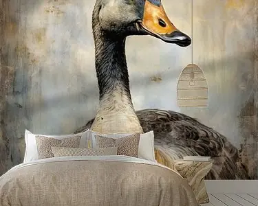 Gans | Gans Kup teraz