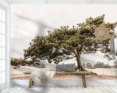 Tani Vlieg den op zandverstuiving