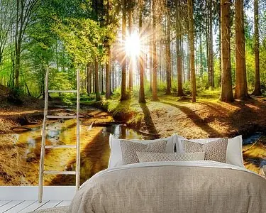 Zonsopgang in een bos met een beekje Wyprzedaż