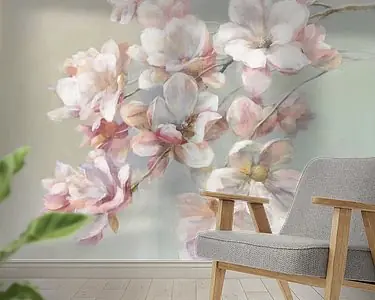 Suiker magnolia, Danhui Nai Najlepsza cena