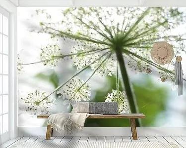 Popularny Spring explosie