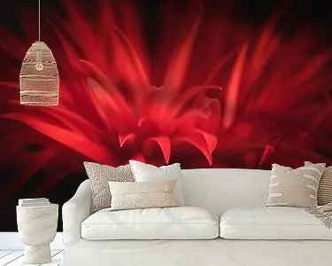 Bezpieczna płatność Rode Gerbera \\u2013 Fine Art Bloemportret