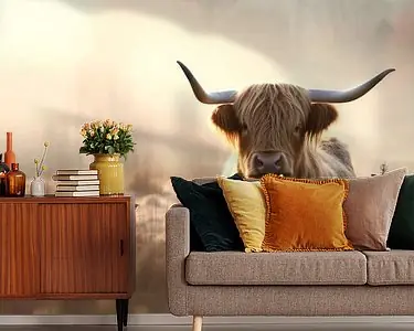 Hooglander in Winterse Gloed Tani