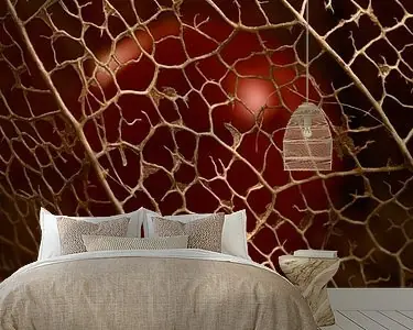 Ekspresowa dostawa Gevangen in een gouden kooi