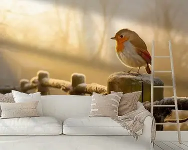 Roodborstje in wintersfeer Wysoka jakość