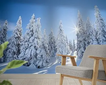 Winterlandschap "Winter Wonderland " Ostatnia szansa