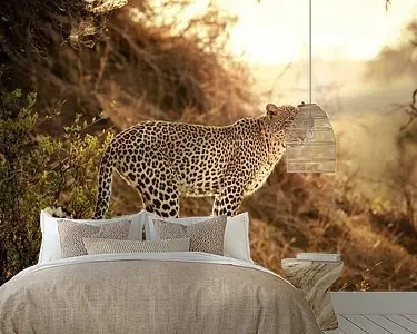 vrouwelijke luipaard bij zonsondergang Bezpieczna płatność